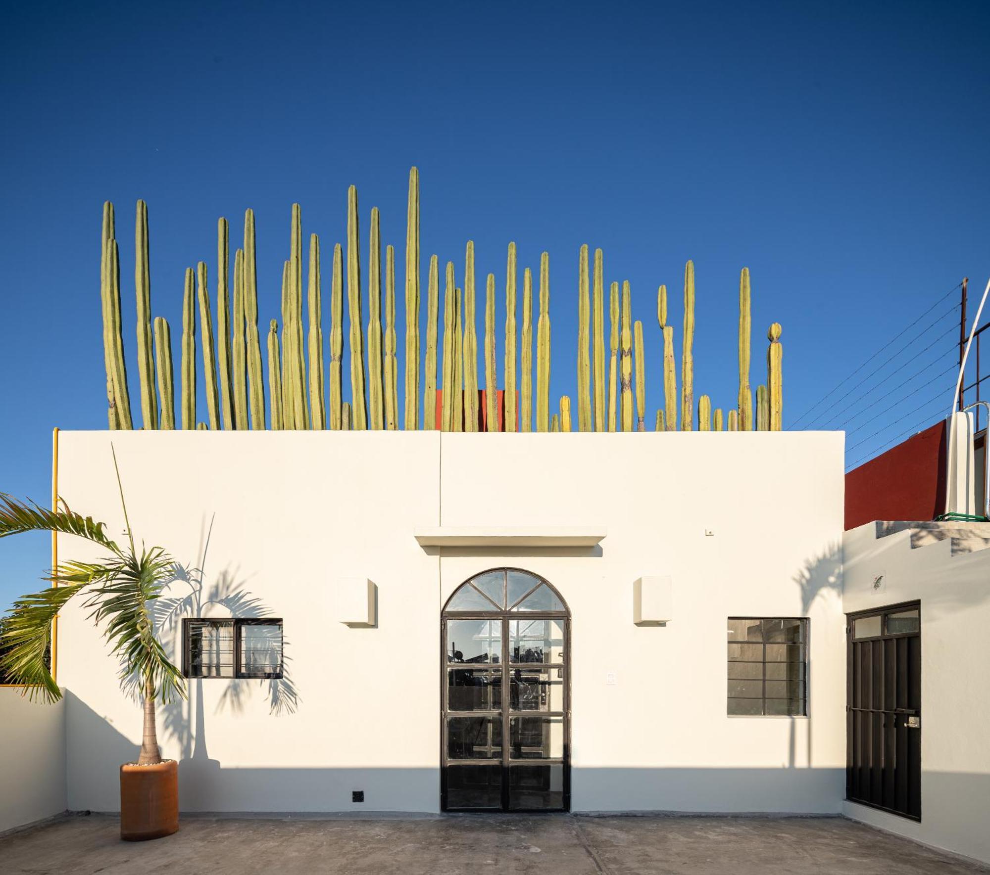 Casa Lumos - Minimalist Comfort Suites In Centro Historico Oaxaca Exterior photo