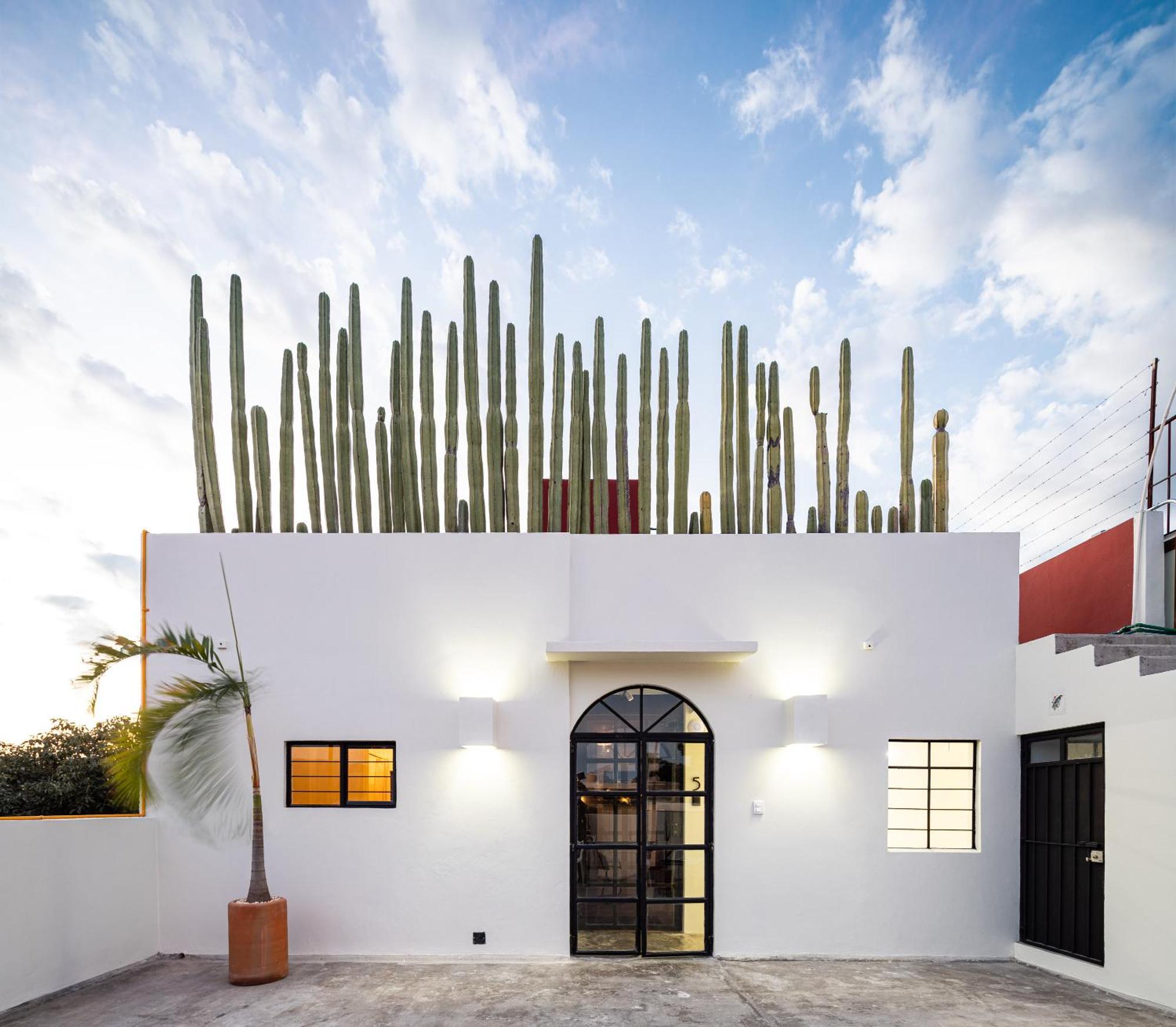 Casa Lumos - Minimalist Comfort Suites In Centro Historico Oaxaca Exterior photo
