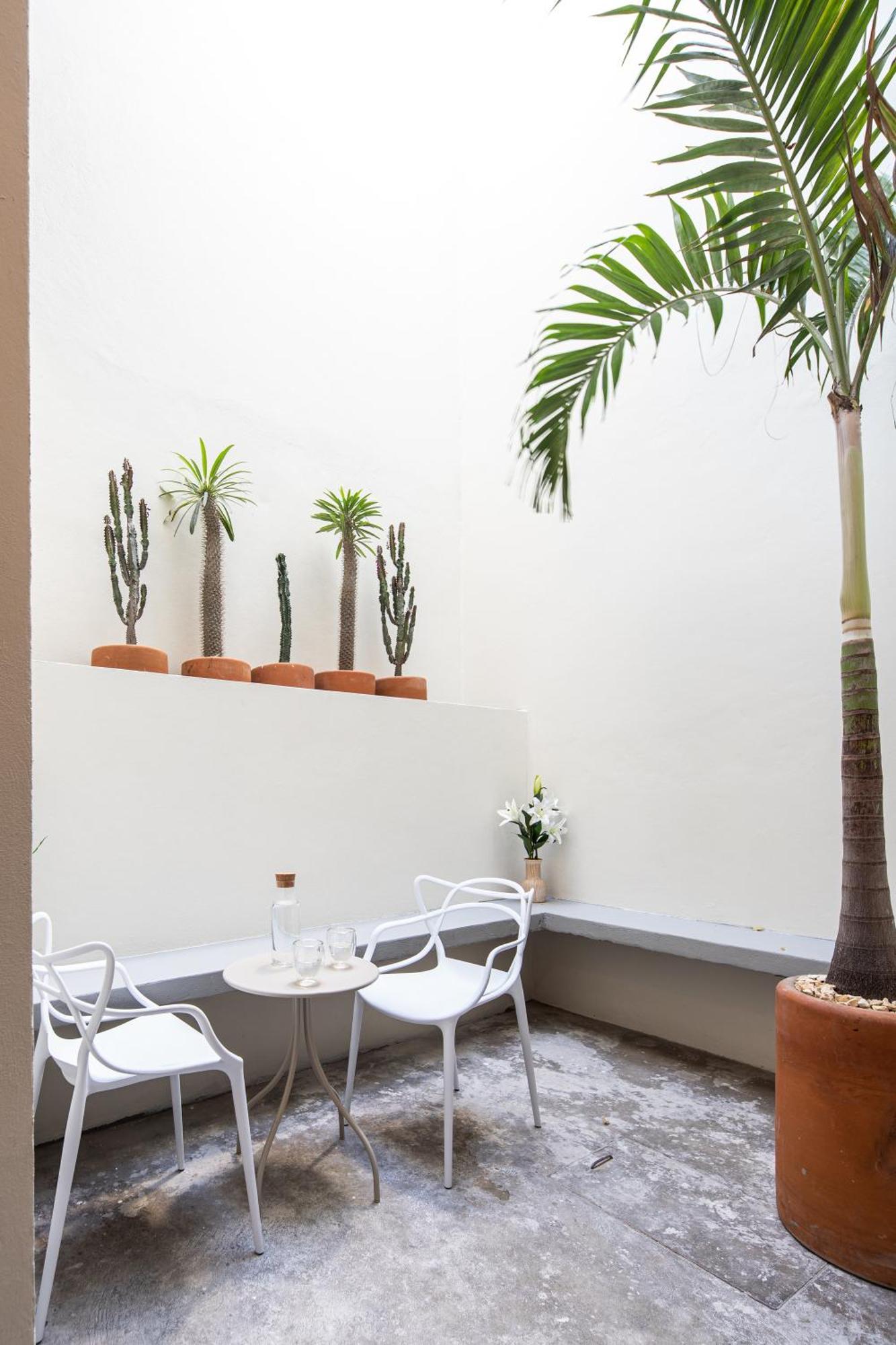 Casa Lumos - Minimalist Comfort Suites In Centro Historico Oaxaca Exterior photo