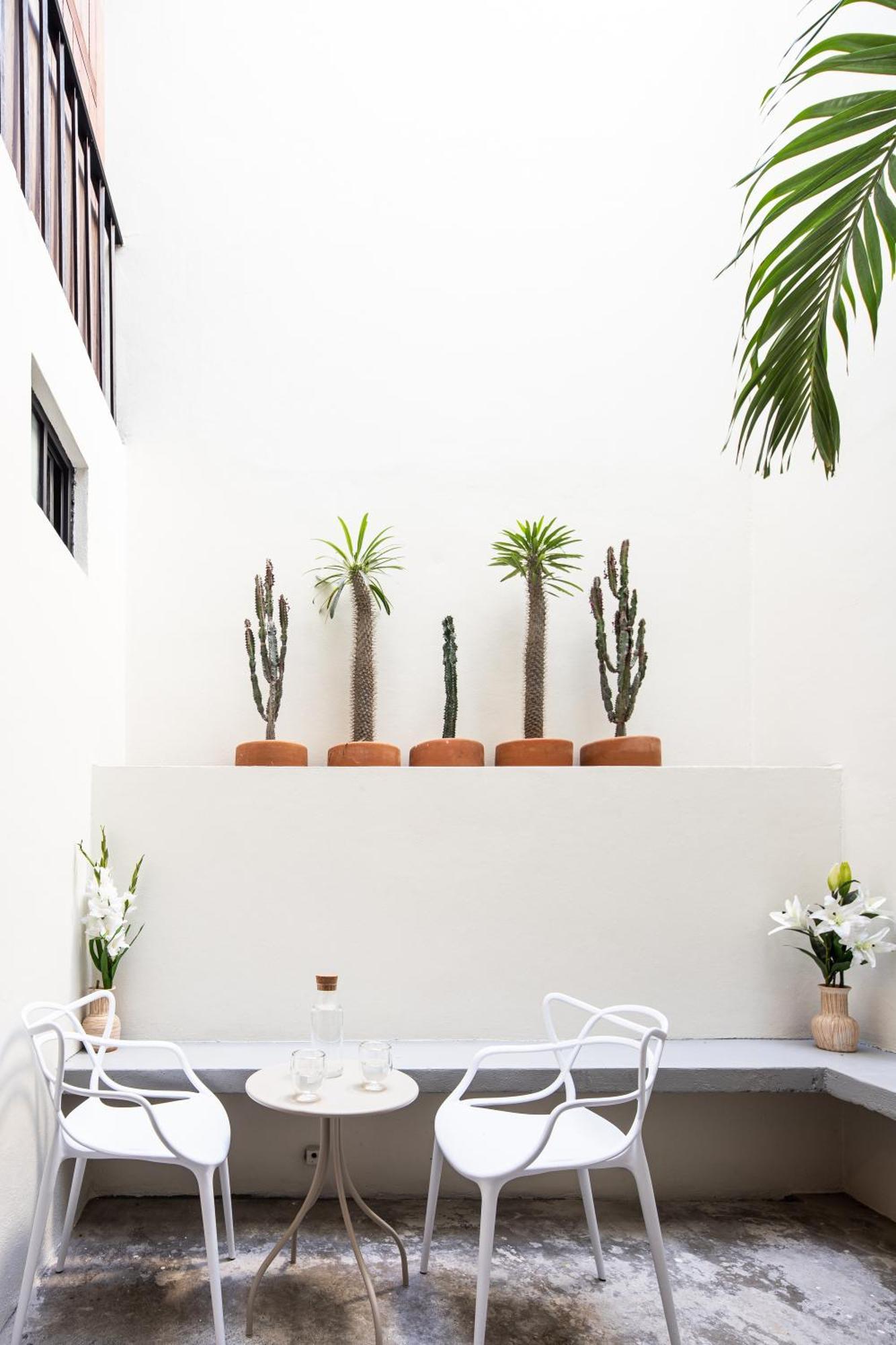 Casa Lumos - Minimalist Comfort Suites In Centro Historico Oaxaca Exterior photo